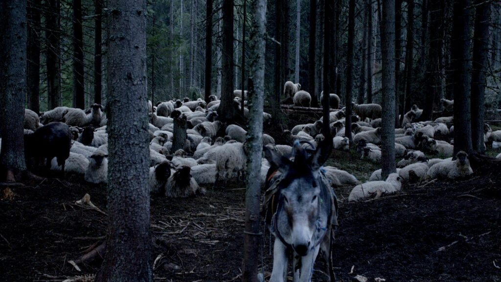 Still from Filmwoche zu Gast beim dfi-Symposium 2026